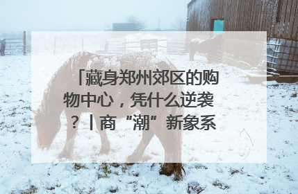 藏身郑州郊区的购物中心，凭什么逆袭？丨商“潮”新象系列观察之四