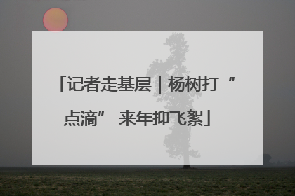 记者走基层｜杨树打“点滴” 来年抑飞絮