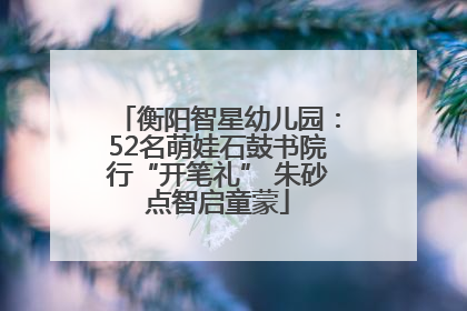衡阳智星幼儿园：52名萌娃石鼓书院行“开笔礼” 朱砂点智启童蒙