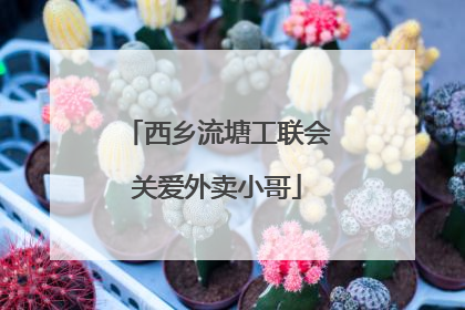 西乡流塘工联会关爱外卖小哥