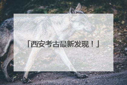 西安考古最新发现！