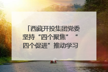 西藏开投集团党委坚持“四个聚焦”“四个促进”推动学习教育走深走实
