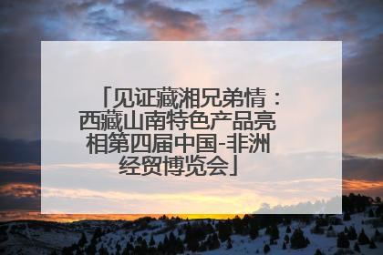 见证藏湘兄弟情：西藏山南特色产品亮相第四届中国-非洲经贸博览会