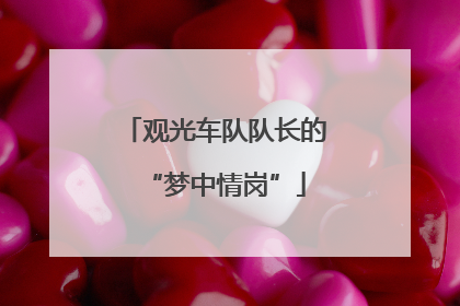 观光车队队长的“梦中情岗”