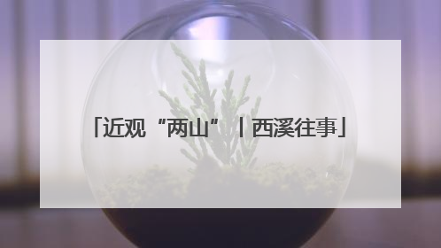 近观“两山”丨西溪往事