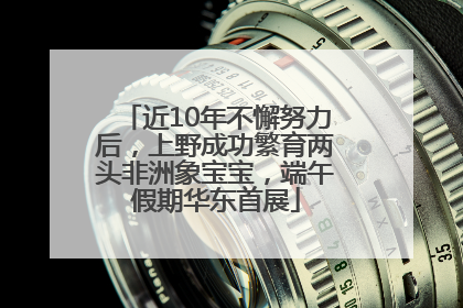 近10年不懈努力后，上野成功繁育两头非洲象宝宝，端午假期华东首展