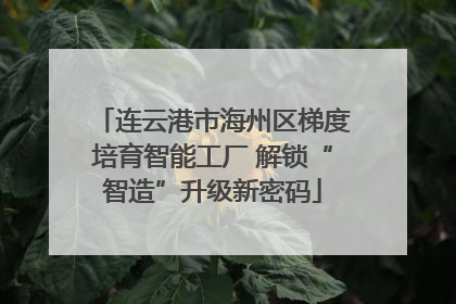 连云港市海州区梯度培育智能工厂 解锁“智造”升级新密码