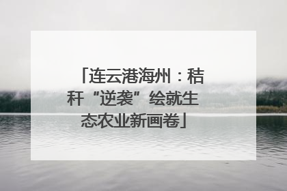 连云港海州：秸秆“逆袭”绘就生态农业新画卷