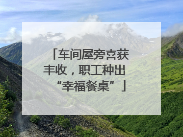 车间屋旁喜获丰收，职工种出“幸福餐桌”