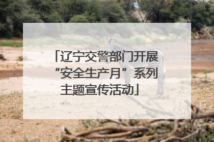 辽宁交警部门开展“安全生产月”系列主题宣传活动
