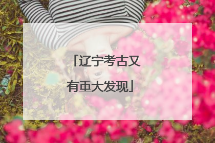 辽宁考古又有重大发现