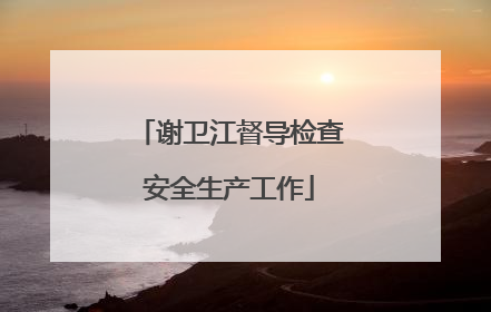 谢卫江督导检查安全生产工作