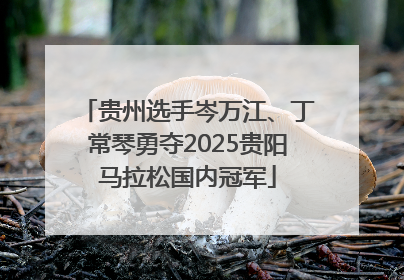 贵州选手岑万江、丁常琴勇夺2025贵阳马拉松国内冠军