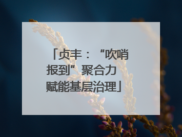 贞丰：“吹哨报到”聚合力 赋能基层治理