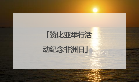 赞比亚举行活动纪念非洲日
