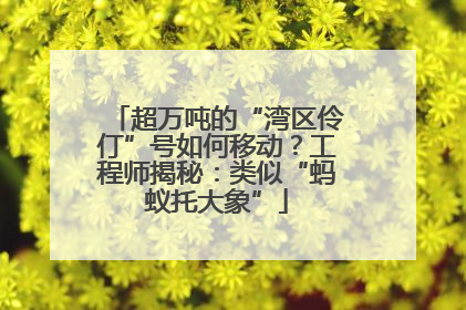 超万吨的“湾区伶仃”号如何移动？工程师揭秘：类似“蚂蚁托大象”