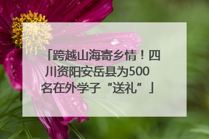 跨越山海寄乡情！四川资阳安岳县为500名在外学子“送礼”