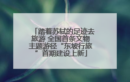 踏着苏轼的足迹去旅游 全国首条文物主题游径“东坡行旅”首期建设上新