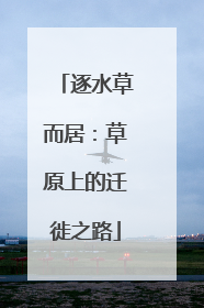 逐水草而居：草原上的迁徙之路