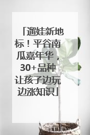 遛娃新地标！平谷南瓜嘉年华，30+品种让孩子边玩边涨知识