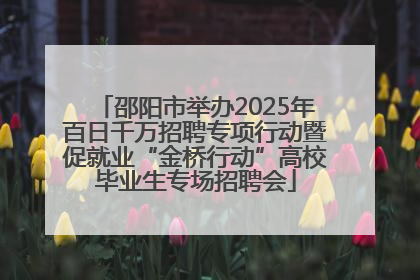 邵阳市举办2025年百日千万招聘专项行动暨促就业“金桥行动”高校毕业生专场招聘会