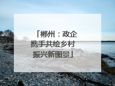 郴州：政企携手共绘乡村振兴新图景