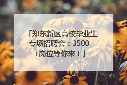 郑东新区高校毕业生专场招聘会：3500+岗位等你来！