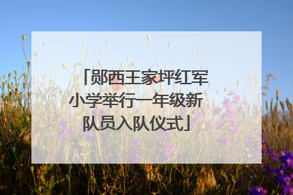 郧西王家坪红军小学举行一年级新队员入队仪式
