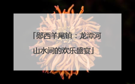 郧西羊尾镇：龙潭河山水间的欢乐盛宴