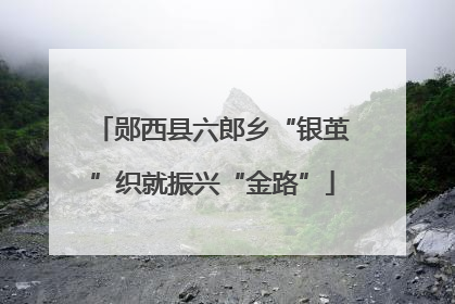 郧西县六郎乡“银茧”织就振兴“金路”