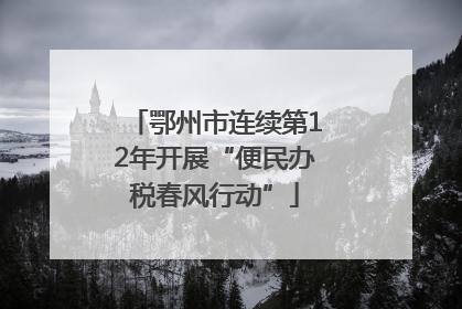 鄂州市连续第12年开展“便民办税春风行动”