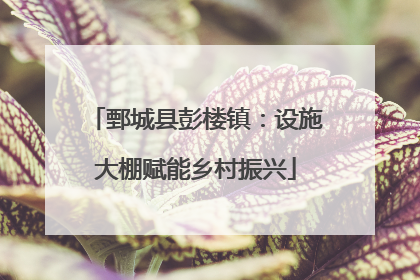 鄄城县彭楼镇：设施大棚赋能乡村振兴