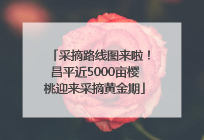 采摘路线图来啦！昌平近5000亩樱桃迎来采摘黄金期
