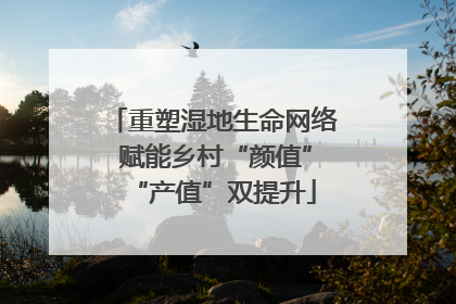 重塑湿地生命网络 赋能乡村“颜值”“产值”双提升