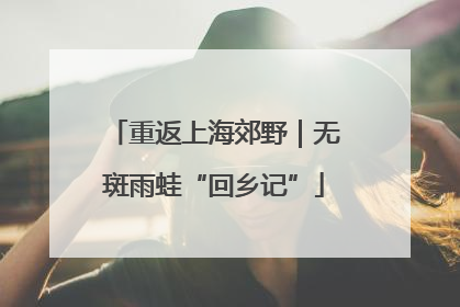 重返上海郊野｜无斑雨蛙“回乡记”