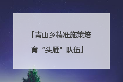 青山乡精准施策培育“头雁”队伍