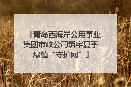 青岛西海岸公用事业集团市政公司筑牢夏季绿植“守护网”
