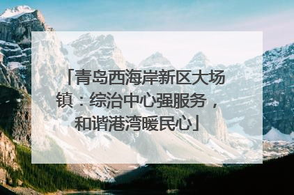 青岛西海岸新区大场镇：综治中心强服务，和谐港湾暖民心