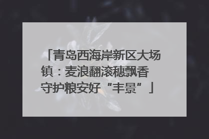 青岛西海岸新区大场镇：麦浪翻滚穗飘香 守护粮安好“丰景”