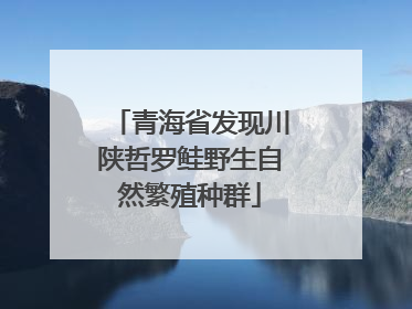 青海省发现川陕哲罗鲑野生自然繁殖种群