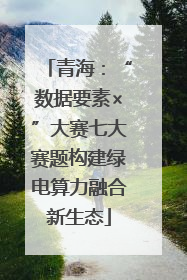 青海：“数据要素×”大赛七大赛题构建绿电算力融合新生态