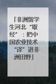 非洲留学生河北“取经”：把中国农业技术“译”进非洲田野