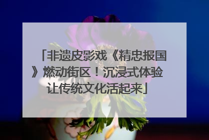 非遗皮影戏《精忠报国》燃动街区！沉浸式体验让传统文化活起来