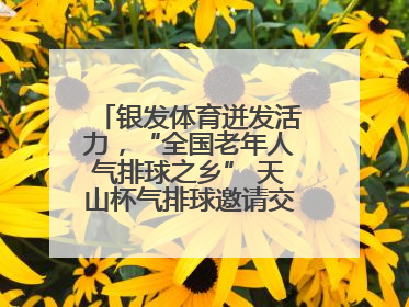 银发体育迸发活力，“全国老年人气排球之乡” 天山杯气排球邀请交流赛举行
