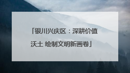 银川兴庆区：深耕价值沃土 绘制文明新画卷