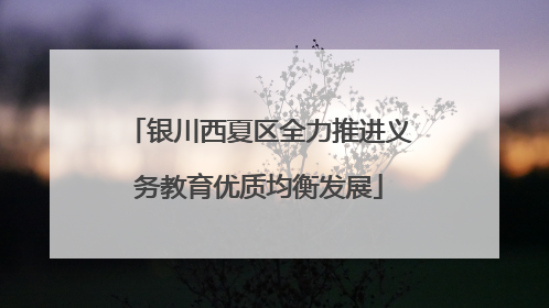 银川西夏区全力推进义务教育优质均衡发展