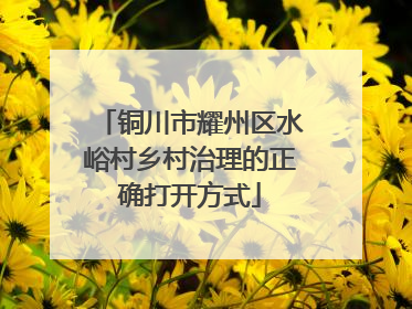 铜川市耀州区水峪村乡村治理的正确打开方式