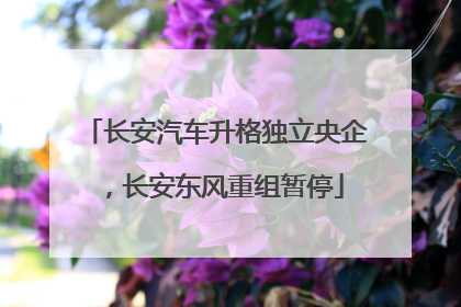长安汽车升格独立央企，长安东风重组暂停