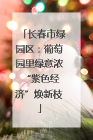 长春市绿园区：葡萄园里绿意浓 “紫色经济”焕新枝