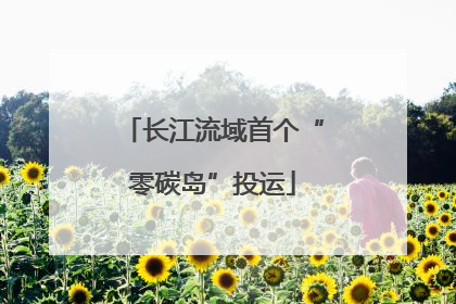 长江流域首个“零碳岛”投运